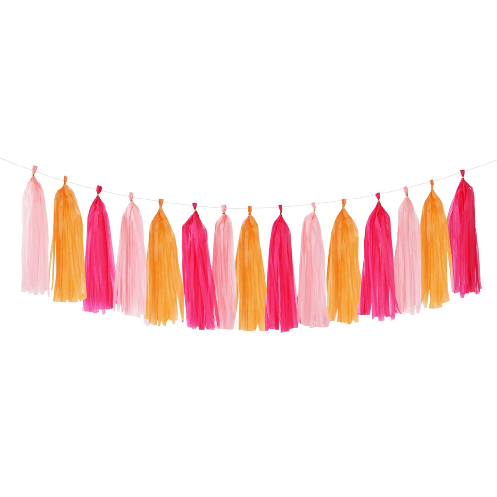 Paper Tassel Garland for Birthdays, Weddings & Parties